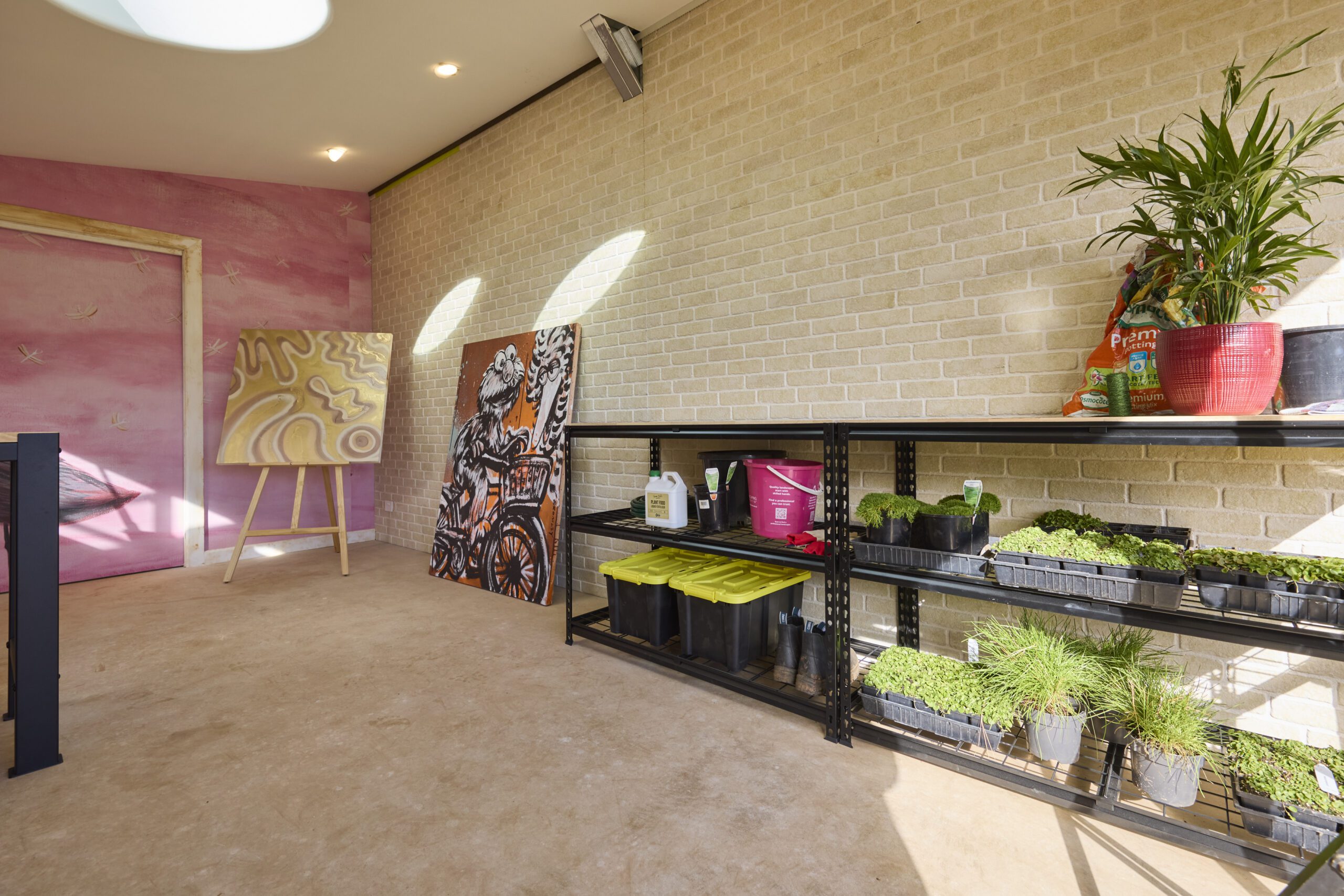 A bright room with brick walls, metal shelves holding potted plants and gardening supplies, a pink wall with two abstract paintings, and a potted plant on top of the shelf. Sunlight streams in through windows.